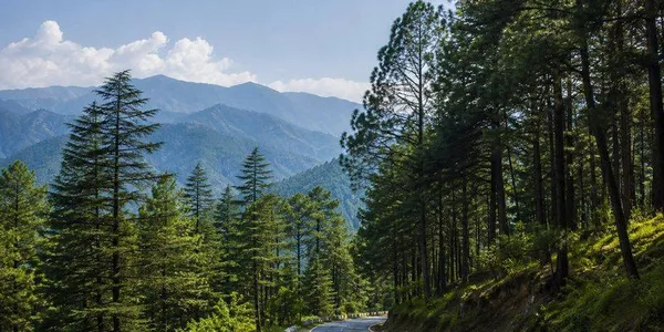 Chakrata Day Trip