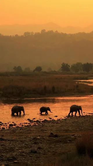 Taxi from Delhi NCR to Jim Corbett